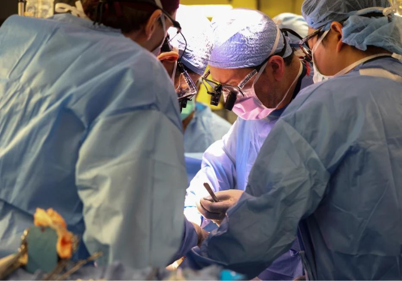 O 1° transplante de rim de porco para um humano foi comandado pelo médico brasileiro Leonardo Riella nos Estados Unidos. - Foto: Michelle Rose/Mass General.