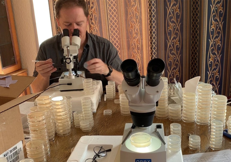 Depois da coleta, os animais foram estudados em laboratório. Foto: Matthew Rockman.