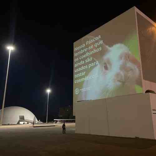 Campanha projetou "coelhinhos da Páscoa" em prédios de cinco capitais - Foto: Divulgação/HSI