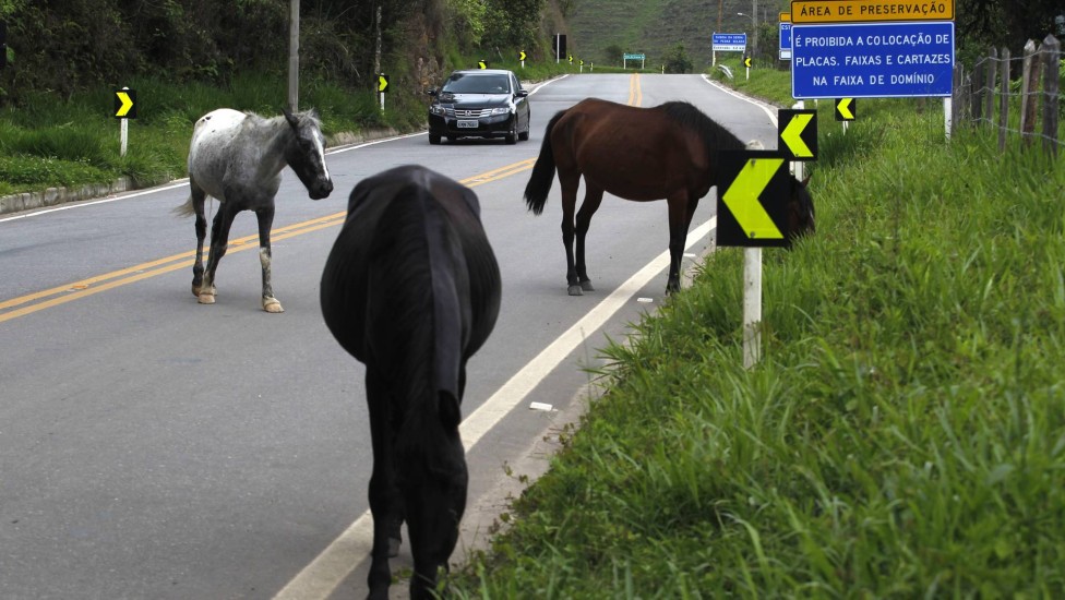  Agora, os pesquisadores buscam parcerias com concessionárias de rodovias e prefeituras para testar o sistema em situações reais. - Foto: Custódio Coimbra