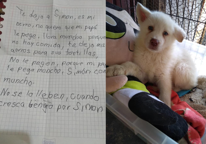 O menino visita o cão todo o mês no abrigo e sempre leva moedinhas para comprar ração para o Simon. O cachorro foi rejeitado pelo pai de Nicolás. - Foto: Albergue Pergatuzoo.