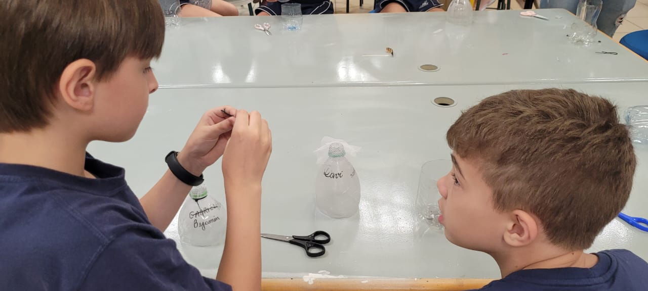 Para eliminar as larvas capturadas, basta adicionar água sanitária após seis dias e descartar o conteúdo da armadilha de forma adequada. - Foto: divulgação 