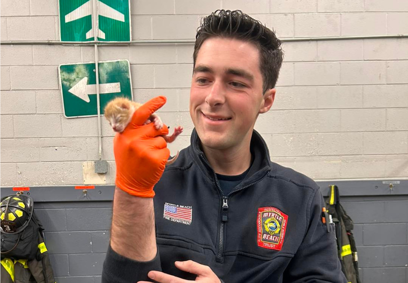 Os gatinhos estavam correndo perigo presos na mangueira, mas o bombeiro Chris Osterhaus encontrou os 4 recém-nascidos a tempo. - Foto: reprodução/ Myrtle Beach Fire Department