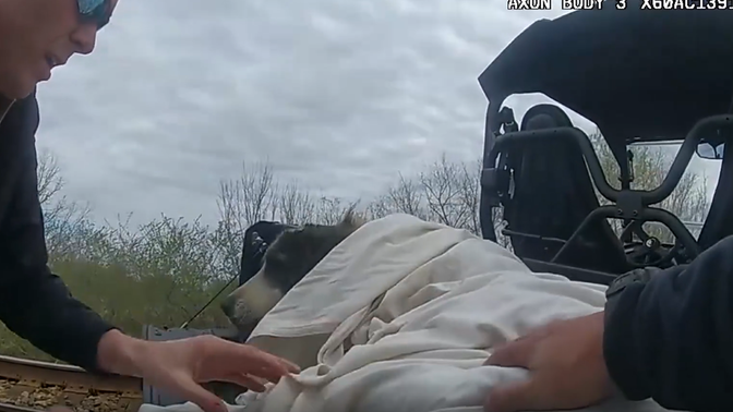 O cachorrinho estava bastante ferido, mas já foi reunido com os tutores e passa bem. Foto: Wagoner County Sheriff's Office.