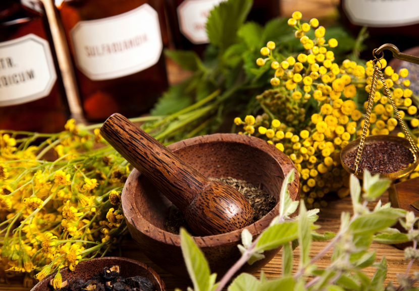 Oportunidade para aprender sobre plantas medicinais! As inscrições podem ser feitas até o dia 9 de junho. - Foto: Jan Pietruszka/Getty Images