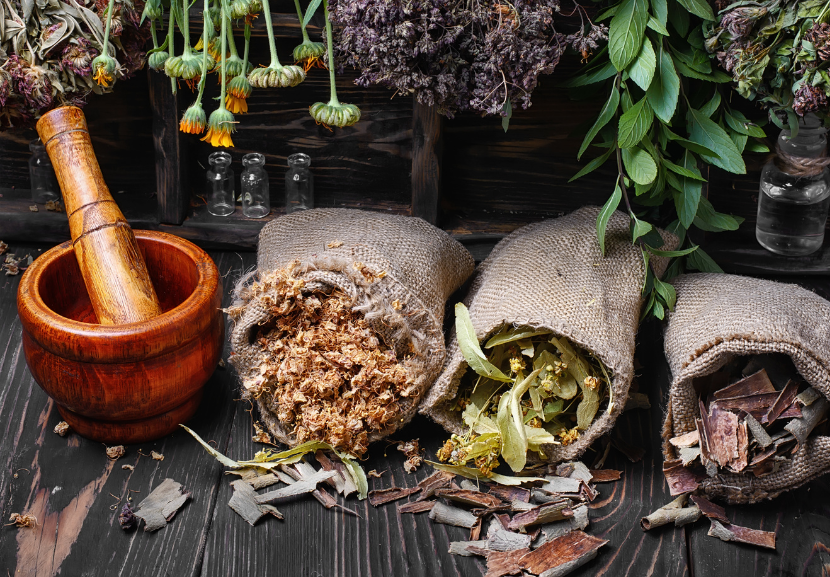 A importância dos fitoterápicos também abrange os aspectos ambientais e de preservações culturais. - Foto: Nikolay Donetsk/Getty Images