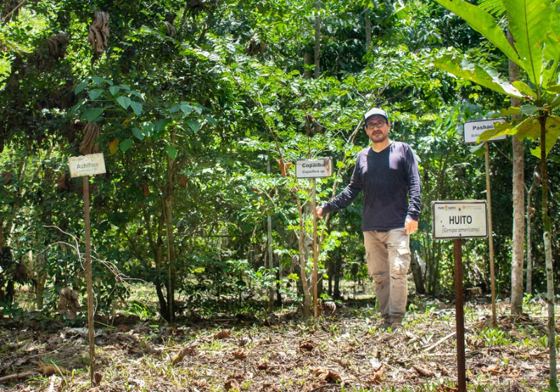 A união de mineiros foi capaz de restaurar a Floresta Amazônica em apenas três anos. - Foto: NPR