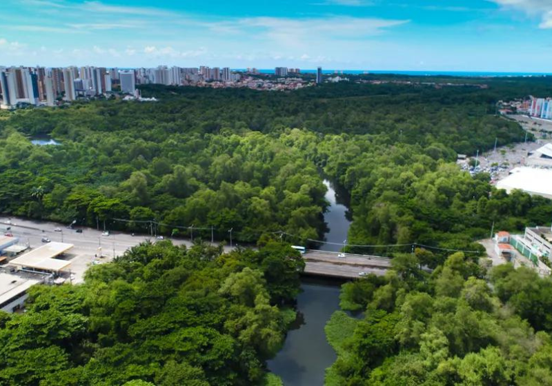 Fortaleza ficou em primeiro lugar no ranking das cidades menos poluídas do Brasil, seguida por Brasília. - Foto: Nilton Alves.