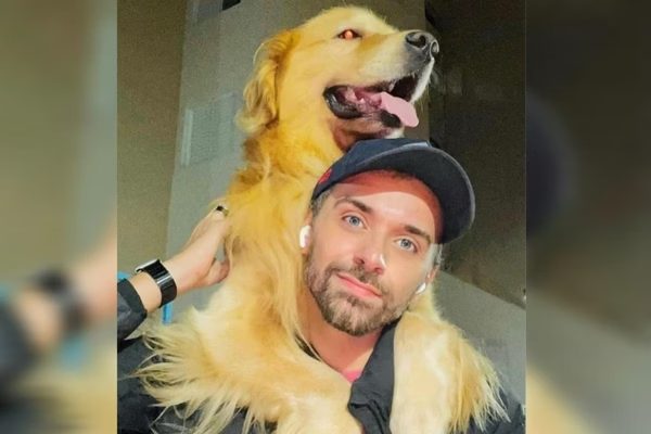 Joca, o cachorro golden de 4 anos que morreu após ser transportado em voo da gol, junto com seu tutor João Fantazzini - Foto: reprodução / redes sociais