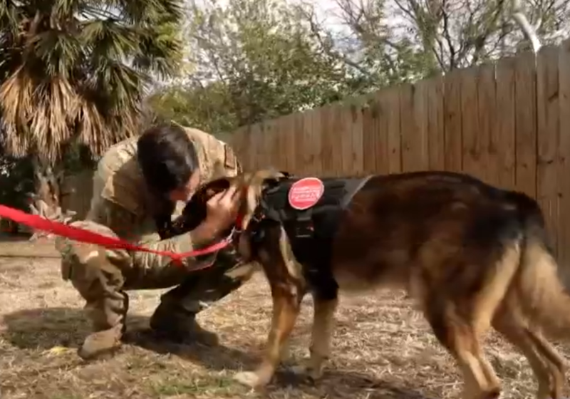 Mike adotou John depois que o cachorrinho se aposentou. Foto: TODAY.