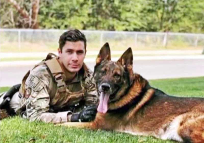 Ao ficar sabendo da aposentadoria do antigo parceiro, o sargento não hesita e adota o cão que serviu com ele no exército. - Foto: TODAY.