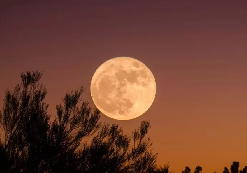 Apesar do nome, a Lua Cheia Rosa, não muda de cor como se pensa, mas aparece maior e mais brilhante. - Foto: Unsplash / Personare