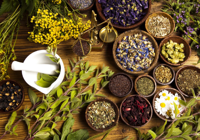 Entre as cinco plantas medicinais para seu jardim, estão o alecrim, lavanda e camomila. Veja as outras. - Foto: Reprodução.