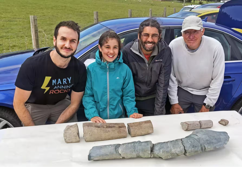 A descoberta dos fósseis do réptil marinho pela menina levou cientistas a encontrar uma nova espécie gigantesca que viveu na Terra. - Foto: Dean Lomax.