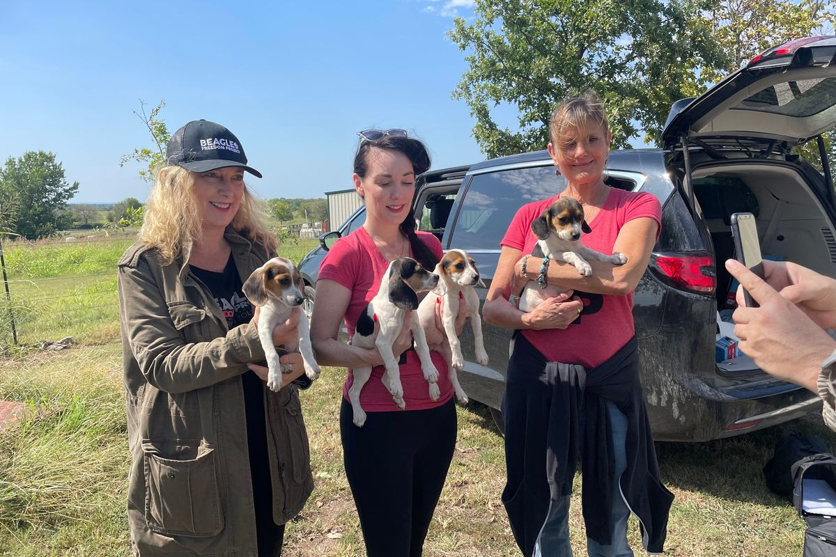 O objetivo de Shannon, à esquerda, é encontrar um lado para todos os cachorrinhos e gatinhos do abrigo. Foto: Beagle Freedom Project.