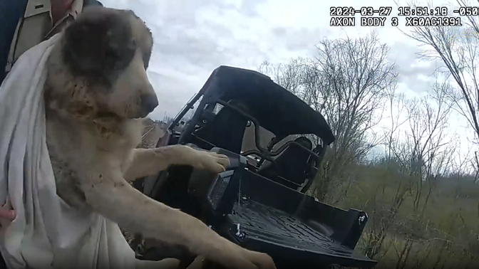 O grupou usou um veículo especial adaptado para trilhas para chegar ao local. Foto: Wagone County Sheriff's Office.