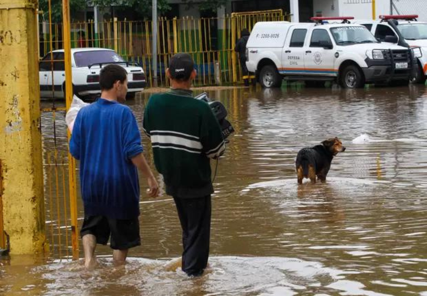 Os auxílios anunciados pelo governo federal devem levar R$ 50 bilhões ao RS. - Foto: Luciano Lanes/PMPA