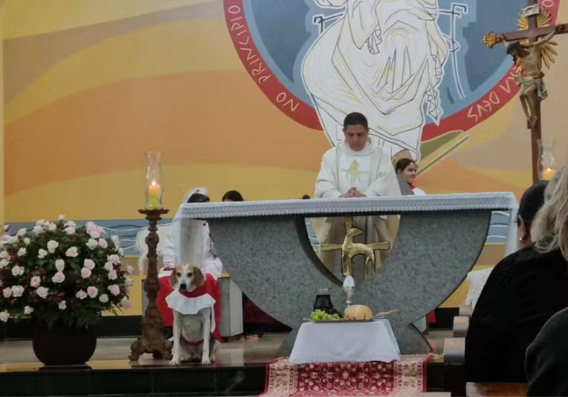 O padre adotou o cachorro e ganhou um novo coroinha na igreja! - Foto: Paróquia Santa Ana e São Joaquim.