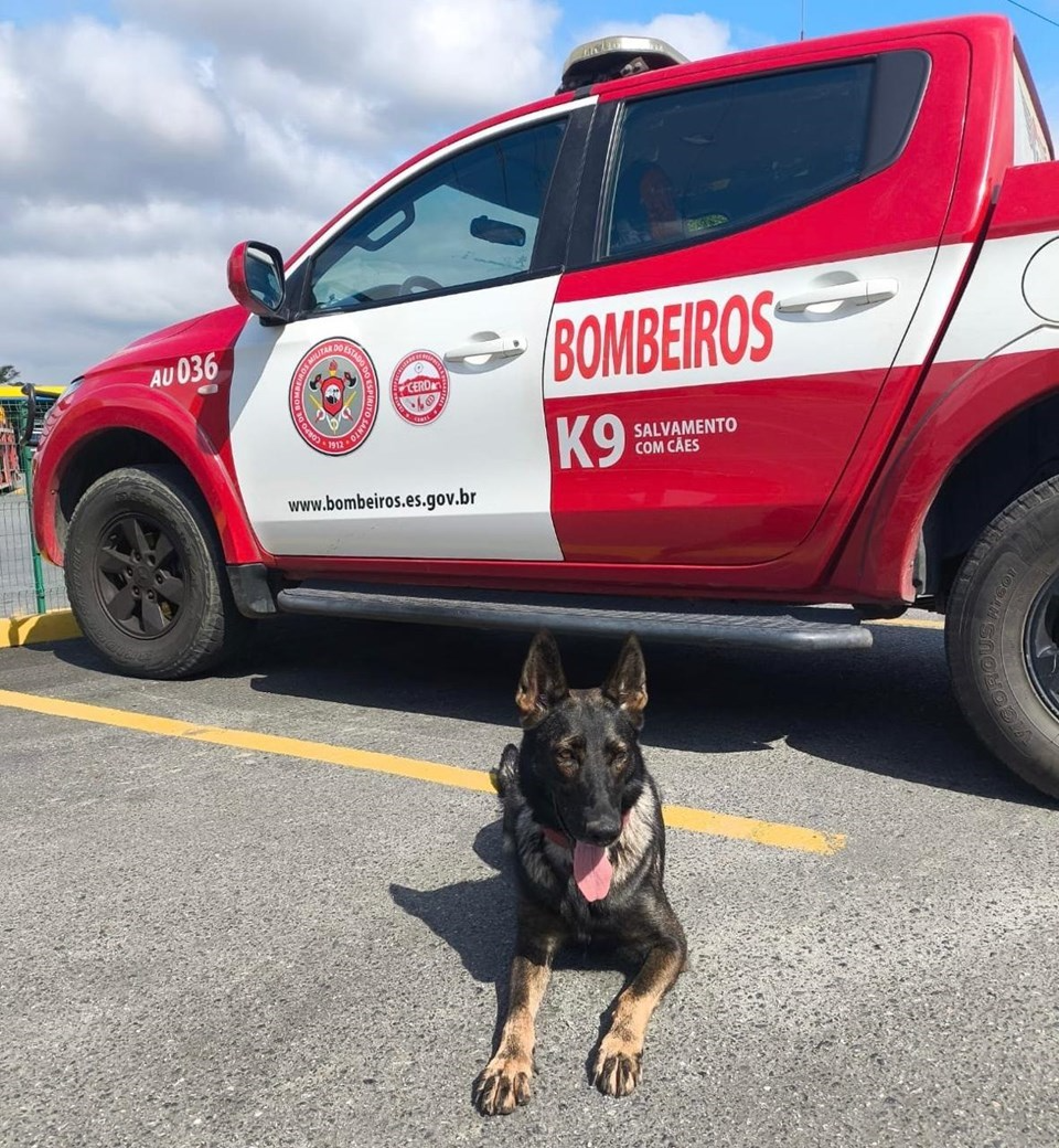 O Espírito Santo também enviou duas cadelas para ajudar a encontrar vítimas soterradas. Foto: Governo do Espírito Santo.
