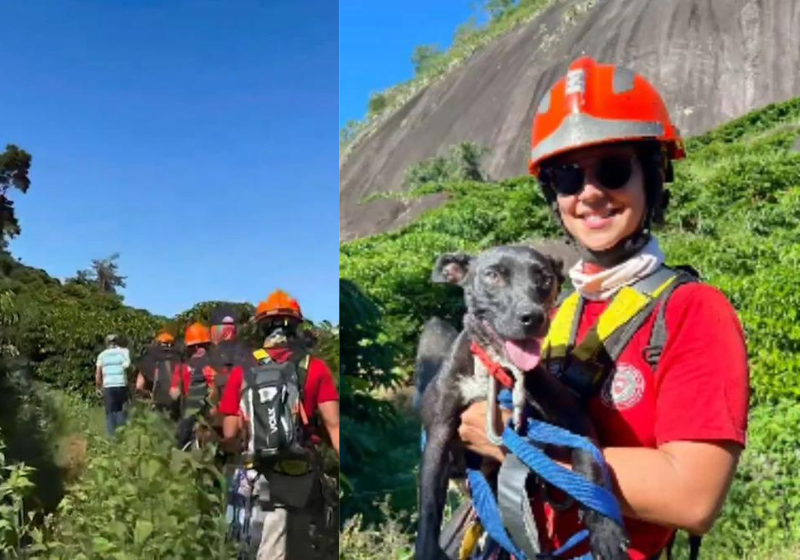 Os bombeiros do ES realizaram uma operação muito complexa, mas no fim, salvaram a vida da cadelinha presa no paredão de pedra. Foto: @bombeirosmilitares/Instagram.