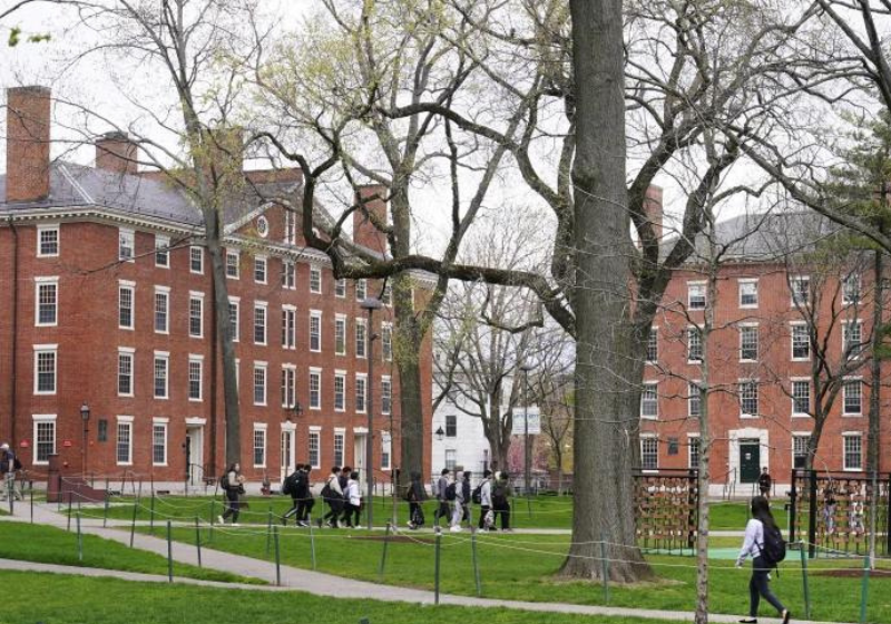 Harvard é uma das universidades mais conceituadas do mundo. Foto: Charles Krupa (AP Photo).