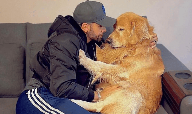 O cão Joca virou símbolo da luta animal no Brasil. Foto: João Fantazzini/Instagram.