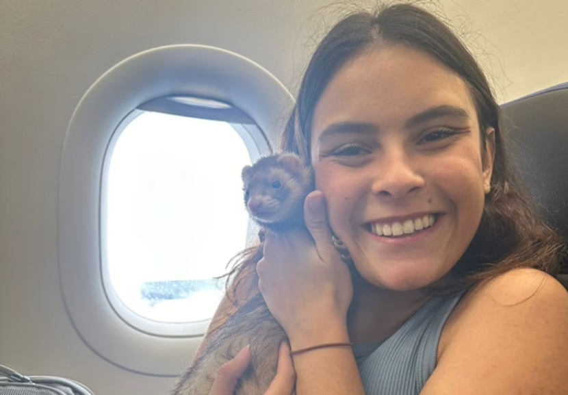 Viajar com o furão de estimação, ajuda Júlia a evitar sintomas de ansiedade durante o voo. - Foto: arquivo pessoal