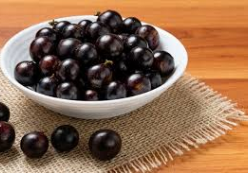 Jabuticaba como remédio, sugere Unicamp. Foto: Freepik