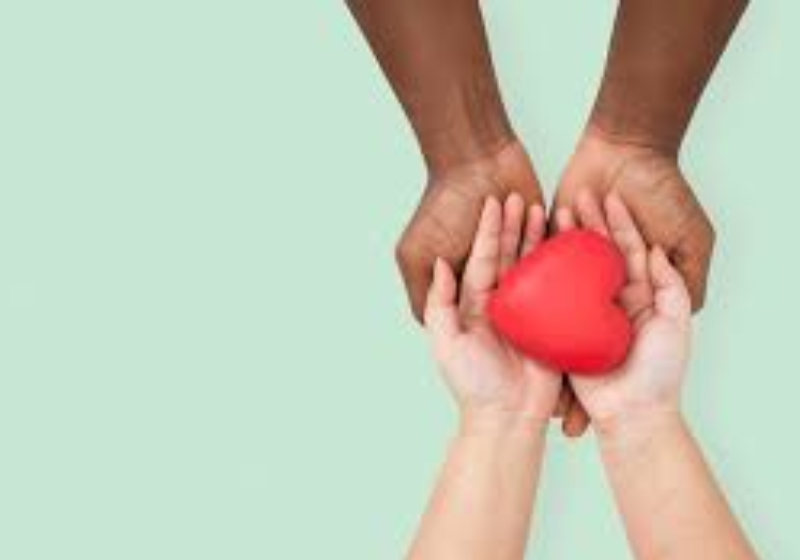 Colocar-se no lugar do outro e ajudar são comandos dados por uma região denominada córtex pré-frontal ventromedial. Foto: Freepik 