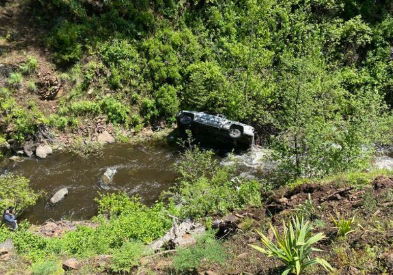 O cão herói correu mais de 6 km para avisar a família que o tutor havia caído com o carro em um penhasco. - Foto: Gabinete do Xerife do Condado de Baker.