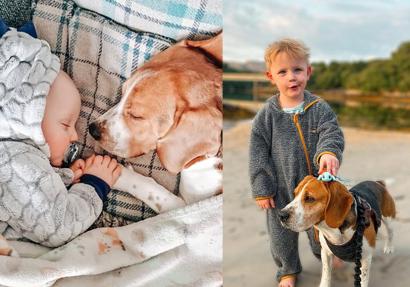 A primeira palavra do bebê Marley foi Jax, seu cachorro amigão. Foto: @thebabyandthehound/Instagram.