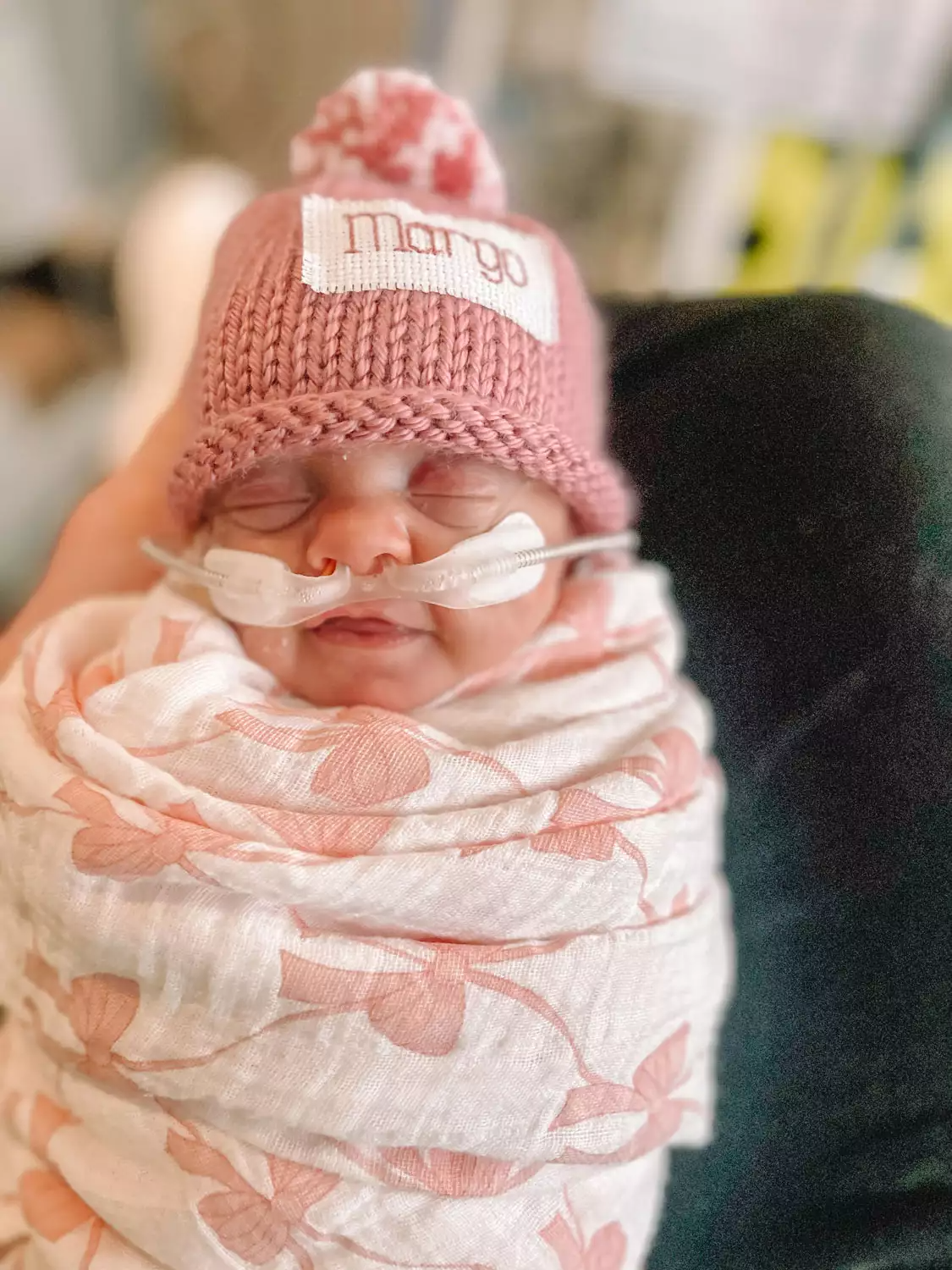 Agora, Margo vai descansar e ganhar muito amor da família. Foto: Família Buller.