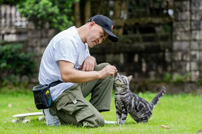 Inicialmente, Bao seria um gatinho para assustar ratos, mas ele mostrou todo talento para aventuras. Foto: Guinness.
