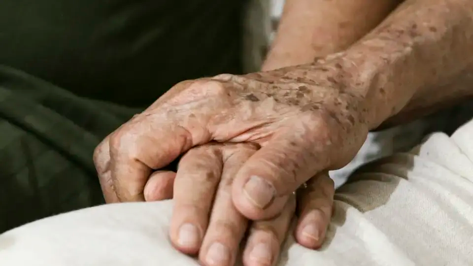 Os primeiros testes foram com roedores, mas os cientistas querem expandir para ensaios clínicos com humanos. Foto: Marcelo Camargo/Agência Brasil.