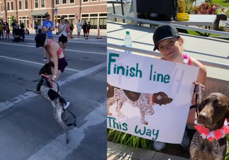 O cachorro Brady ficou esperando a tutora terminar a maratona e cruzou a linha de chegada com ela! Foto: @emiontherun/TikTok.