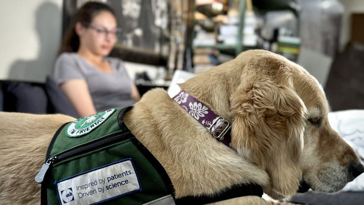 Bishop é o segundo cão de serviço da mulher, que se sente muito mais segura com o novo amigo. Foto: Channing Seideman.