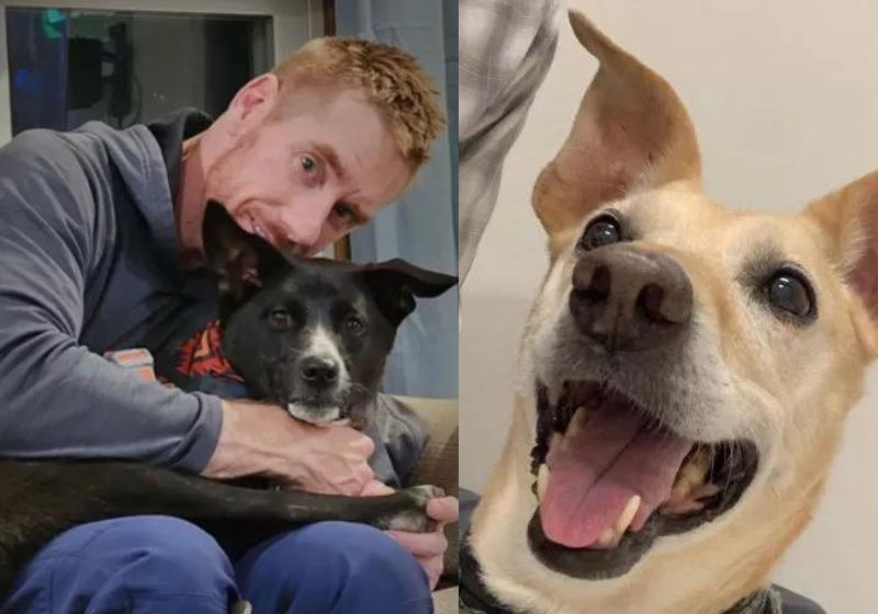 O homem foi ao Nepal homenagear o seu antigo cãozinho e voltou de lá com um novo amigo. Foto: Kevin Leurquin.