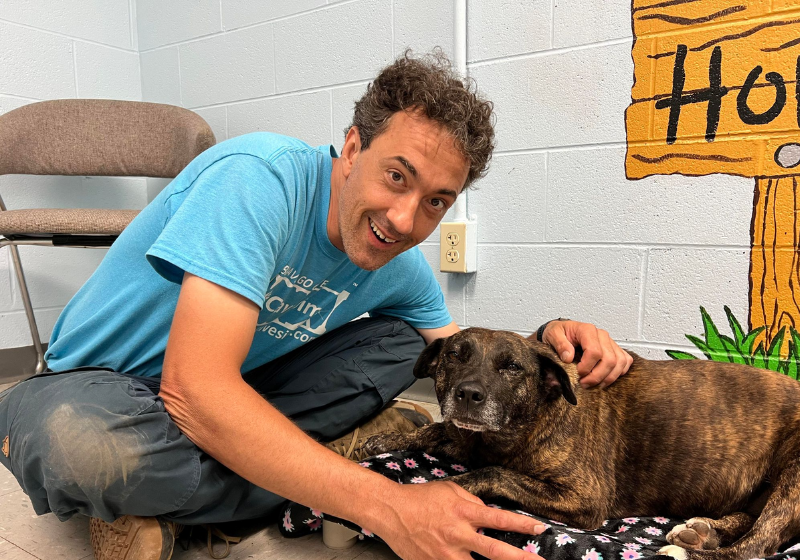 Olha como esses dois são fofos! Foto: Giles Animal Shelter.