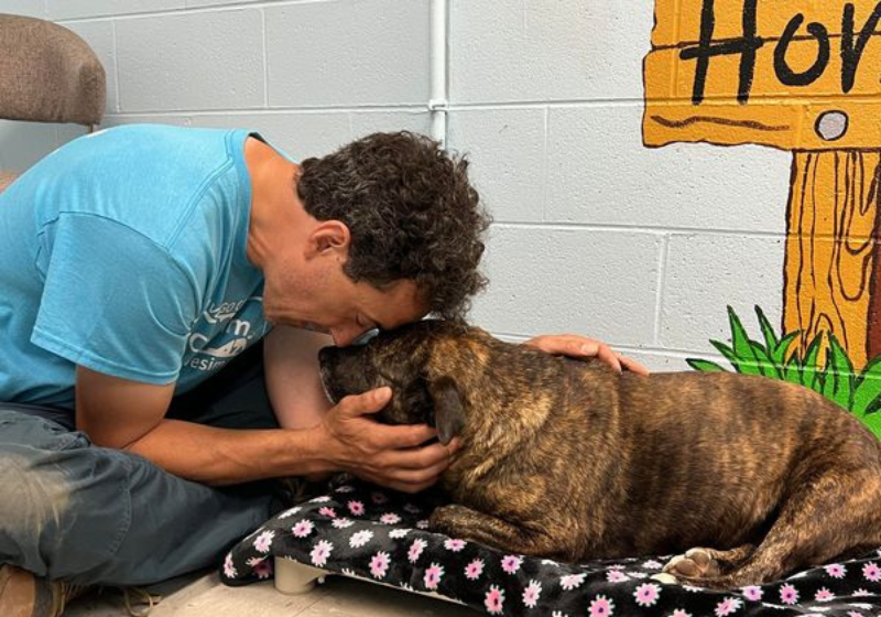 O homem foi muito corajoso e fez rapel por um buraco de 15 metros para salvar a cachorrinha na caverna. Foto: Giles Animal Shelter.