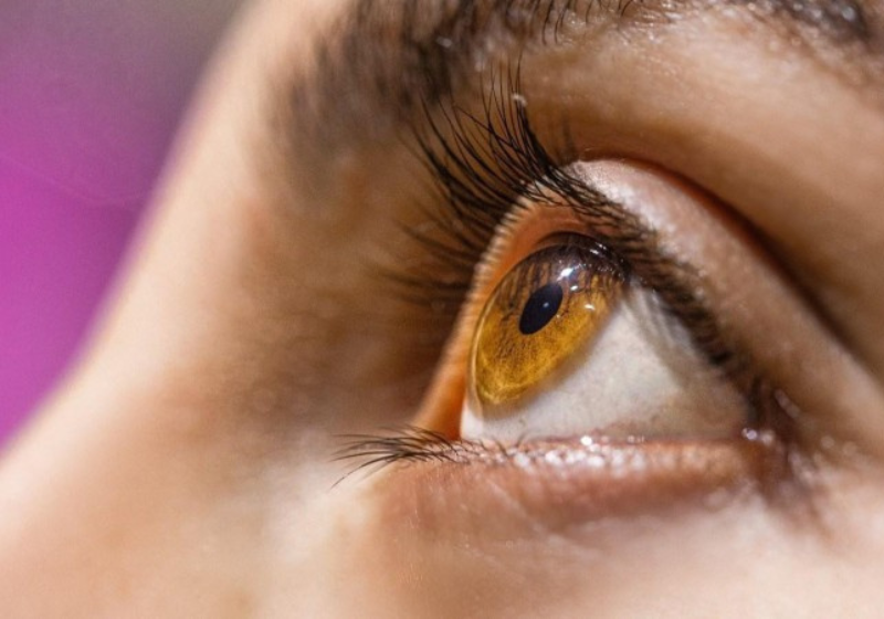 A terapia genética usa uma proteína para proteger a retina. Foto: Aliza Delgun/Divulgação.