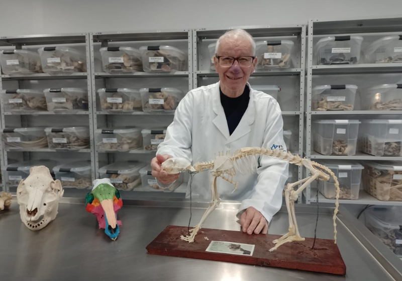 O idoso Salcedo Grass Lautert, de 81 anos, tinha um sonho: formar em veterinária e, agora, ele conseguiu! Jamais desistir de realizar o que tanto queria. Foto: Universidade Cruzeiro do Sul