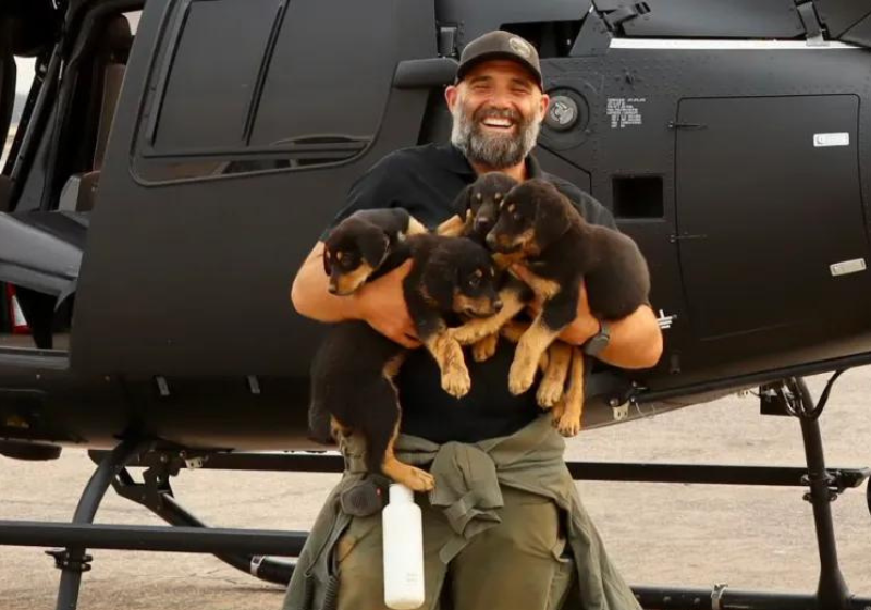 Com o helicóptero, os voluntários conseguiram encontrar e salvar os cachorrinhos em meio ao incêndio. Foto: Gabinete do Xerife do Condado de Butte.