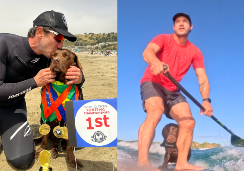 A cachorra Cacau foi ouro na competição de surfe para cães nos Estados Unidos. Trouxe 5 medalhas para o Brasil, sendo 4 de ouro. - Foto: @ivanquintaes/Instagram.