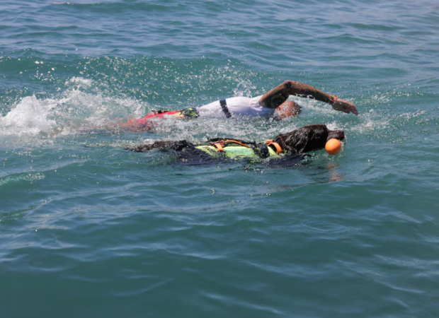 Os cães passam por treinamentos rigorosos e se tornam salva-vidas na praia espanhola. - Foto: Jon Nazca/REUTERS.