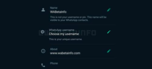 O cadastro do nome de usuário será feito nas configurações do próprio aplicativo - Foto: WhatsApp Beta