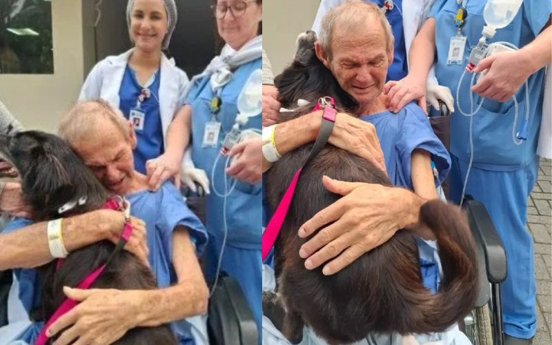 Valdir Zabel, de 73 anos, ficou emocionado em reencontrar a cachorrinha 