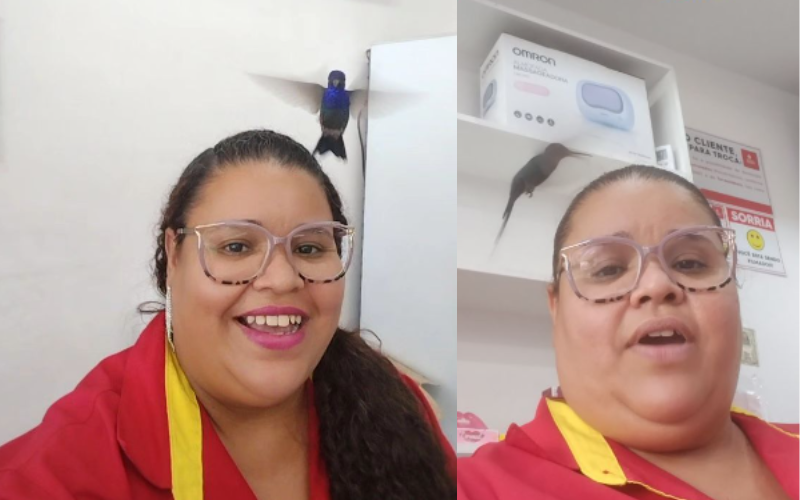 A baiana Lili recebe diariamente a visita fofa desse beija-flor que adora pousar na cabeça dela. A amizade tem ajudado a mulher a sair da depressão. - Foto: @slilipatricia750