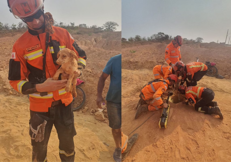 O Corpo de Bombeiros resgatou um cãoziunho que caiu em um buraco de 10 metros. Um dos agentes adotou o animal. - Foto: reprodução redes sociais