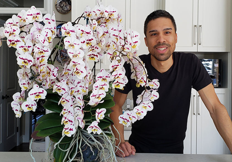 O jardineiro fez a contagem duas vezes da orquídea com 150 flores. Foto: Guinness World Records.