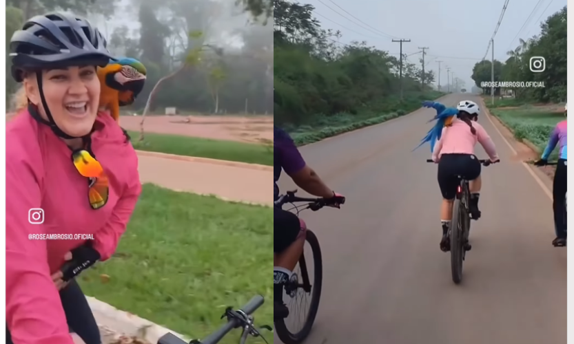 Arara surpreende ciclistas ao pousar em seus ombros durante passeio e viaja junto; confira o vídeo